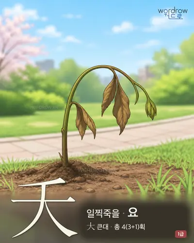 夭 일찍죽을