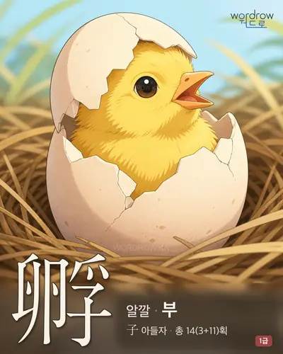 孵 (알깔 부) - 1급 한자 일러스트 카드