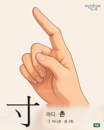 寸 마디