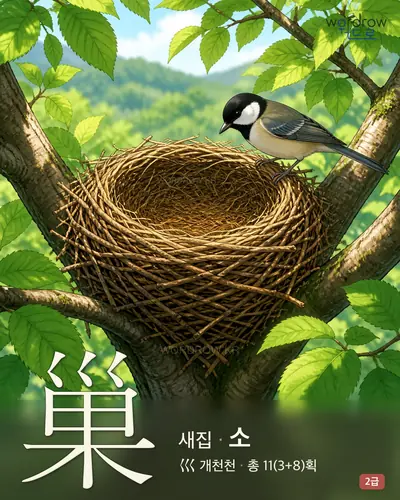 巢 (새집 소) - 2급 썸네일