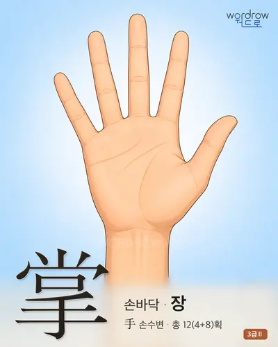 掌 손바닥