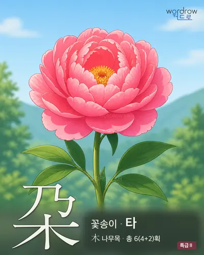 朶 (꽃송이 타) - 특급Ⅱ 썸네일