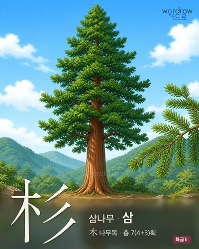 杉 연상 그림