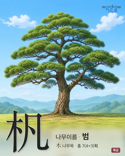 杋 (나무이름 범) - 특급 한자 일러스트 카드