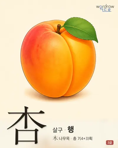 杏 (살구 행) - 2급 썸네일