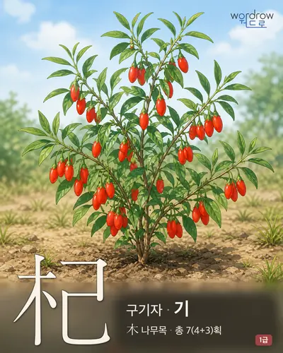 杞 (구기자(枸杞子) 기) - 1급 썸네일