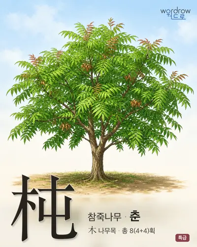杶 (참죽나무 춘) - 특급 한자 일러스트 카드