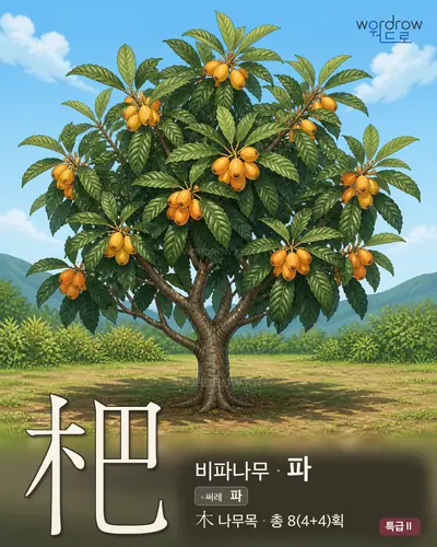 杷 (비파나무 파) 썸네일
