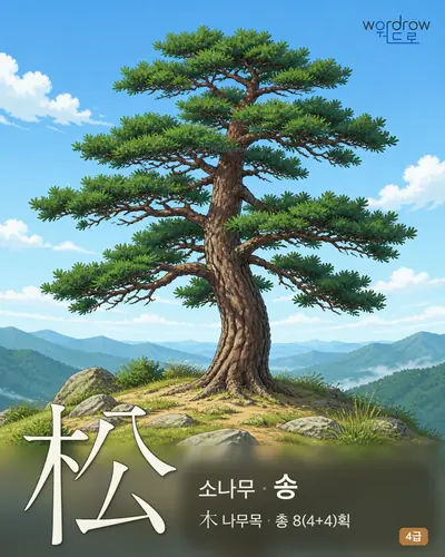 松 (소나무 송) - 4급 썸네일