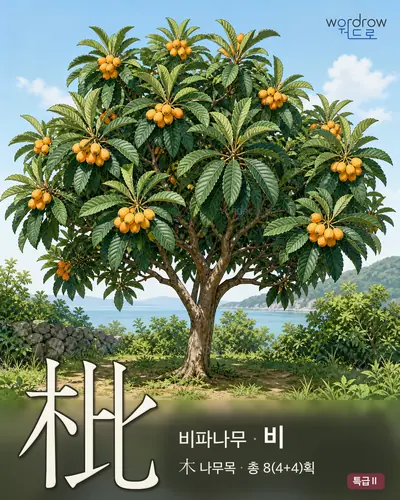 枇 (비파나무 비) 썸네일