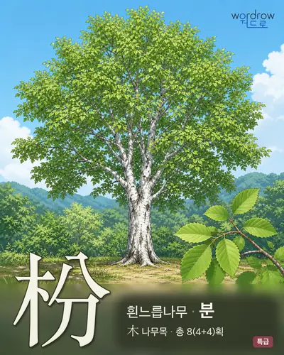 枌 (흰느릅나무 분) - 특급 한자 일러스트 카드