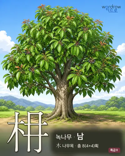 枏 연상 그림