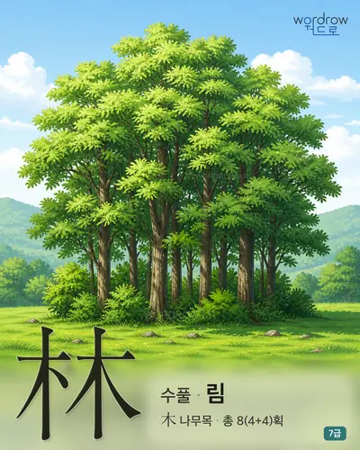 林 수풀