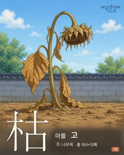 枯 (마를 고) - 3급 썸네일
