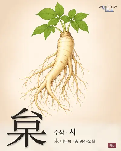 枲 연상 그림