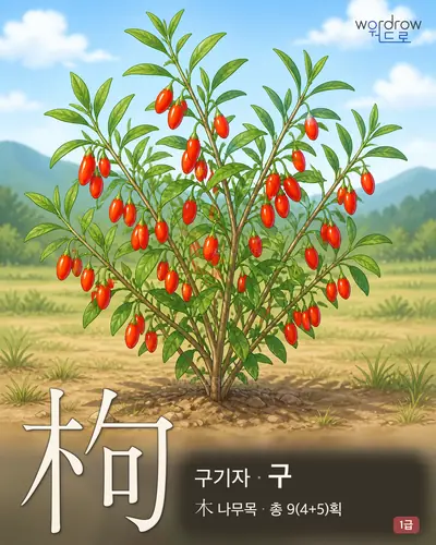 枸 (구기자(枸杞子) 구) - 1급 썸네일