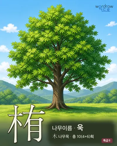 栯 (나무이름 욱) - 특급Ⅱ 한자 일러스트 카드