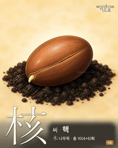核 (씨 핵) - 4급 썸네일