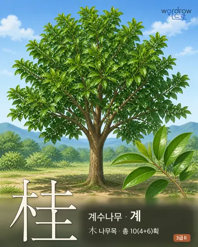 桂 (계수나무 계) - 3급Ⅱ 썸네일