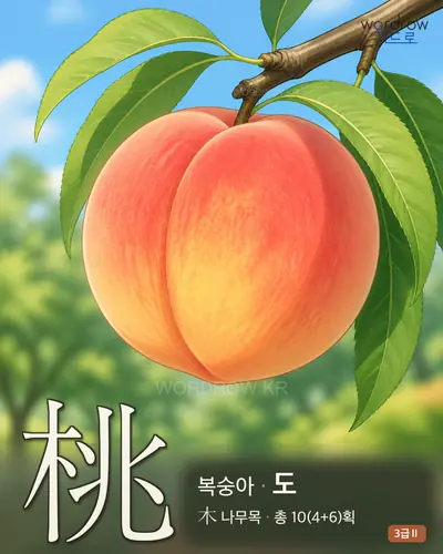 桃 (복숭아 도) - 3급Ⅱ 썸네일