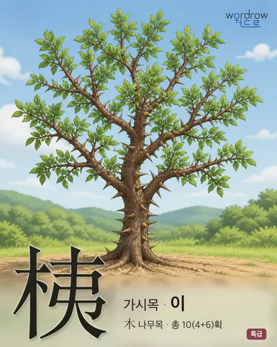 桋 (가시목 이) - 특급 한자 일러스트 카드