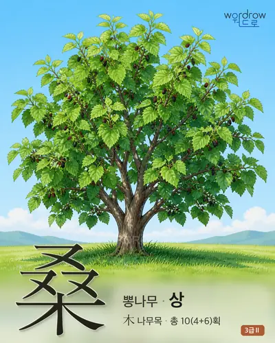 桑 (뽕나무 상) - 3급Ⅱ 썸네일