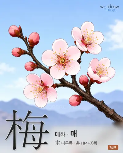 梅 (매화 매) - 3급Ⅱ 썸네일
