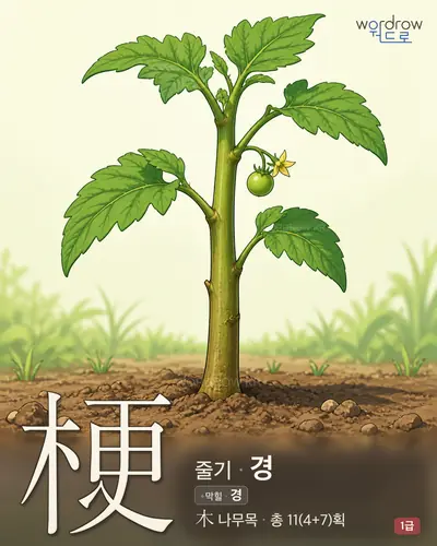 梗 (줄기 경) - 1급 썸네일