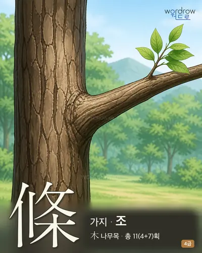 條 (가지 조) 썸네일