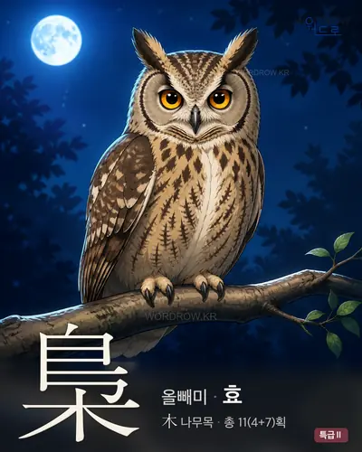 梟 (올빼미 효) - 특급Ⅱ 한자 일러스트 카드