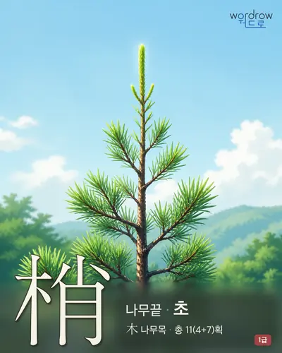 梢 (나무끝 초) - 1급 한자 일러스트 카드