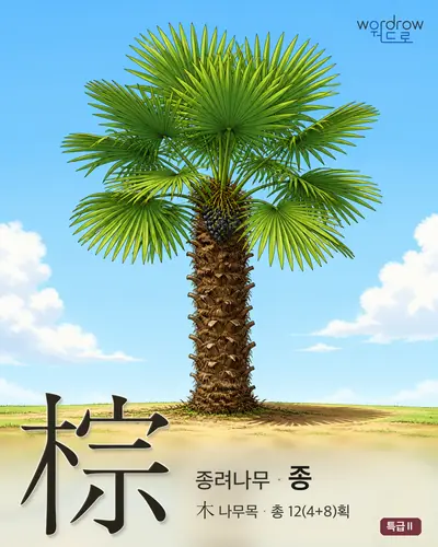 棕 (종려나무[椶] 종) - 특급Ⅱ 한자 일러스트 카드