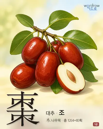 棗 (대추 조) - 1급 한자 일러스트 카드