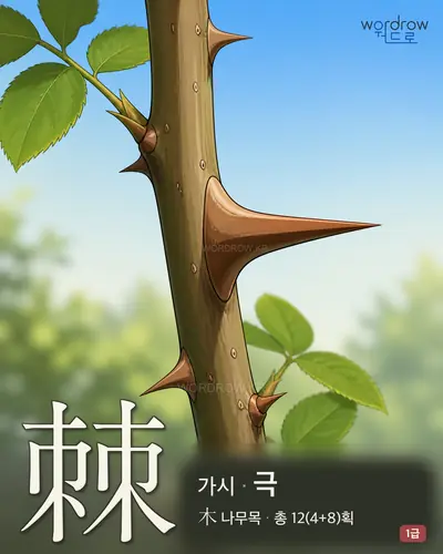 棘 (가시 극) - 1급 썸네일