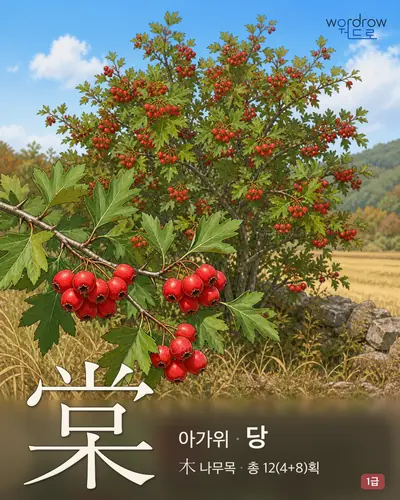 棠 (아가위 당) - 1급 썸네일