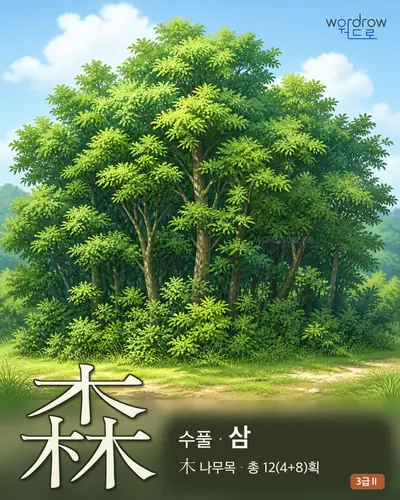 森 (수풀 삼) - 3급Ⅱ 썸네일