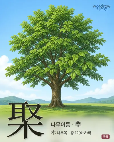 棸 (나무이름 추) - 특급 한자 일러스트 카드