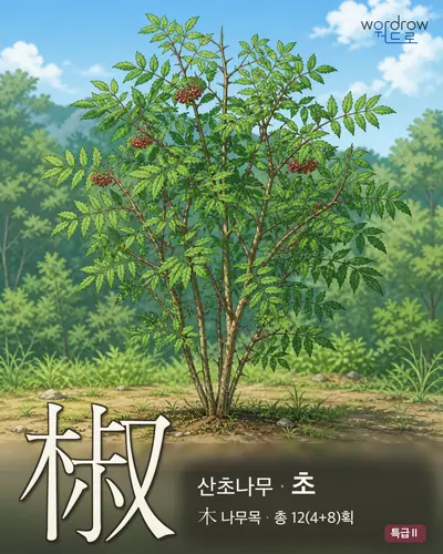 椒 (산초나무 초) - 특급Ⅱ 썸네일