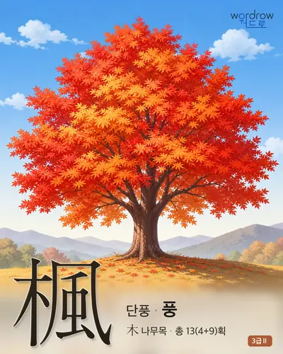 楓 (단풍 풍) - 3급Ⅱ 썸네일