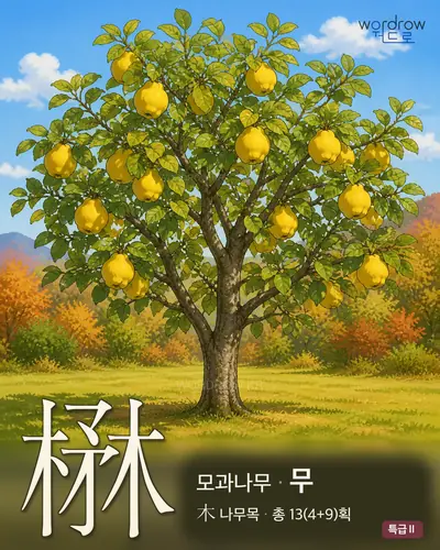 楙 (모과나무 무) - 특급Ⅱ 썸네일