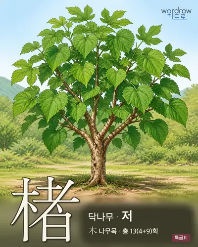 楮 (닥나무 저) - 특급Ⅱ 한자 일러스트 카드