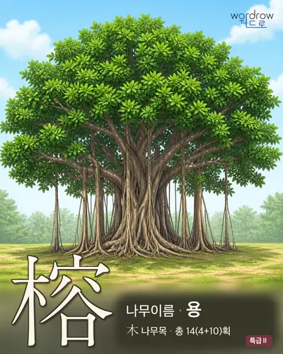 榕 (나무이름 용) - 특급Ⅱ 한자 일러스트 카드
