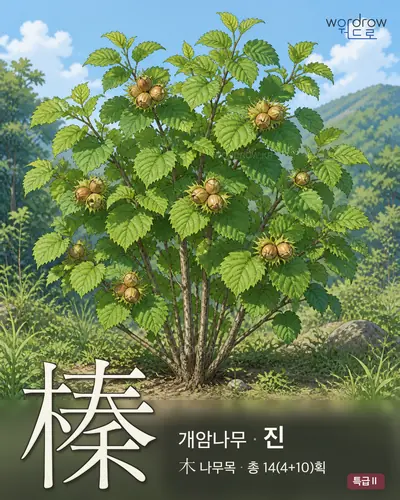 榛 (개암나무 진) - 특급Ⅱ 한자 일러스트 카드
