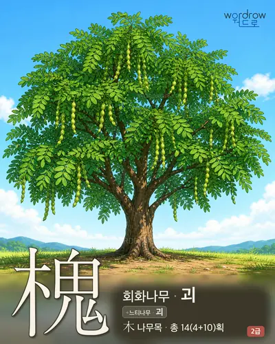 槐 (회화나무 괴) - 2급 썸네일
