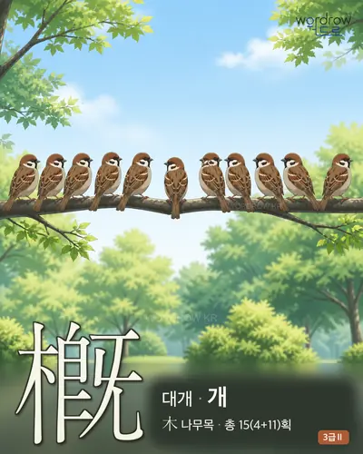槪 (대개 개) - 3급Ⅱ 썸네일