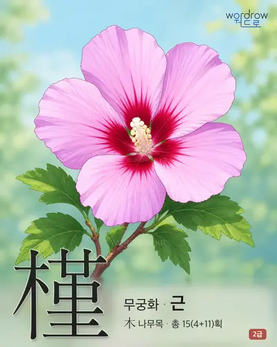 槿 (무궁화 근) - 2급 썸네일