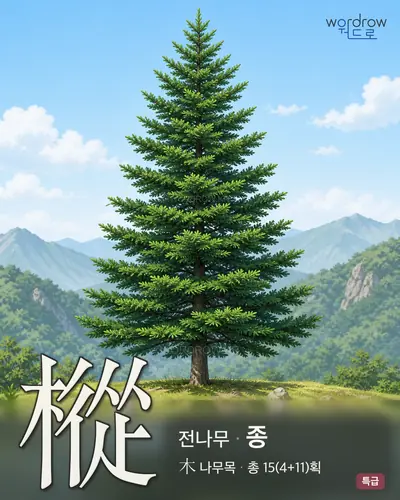 樅 (전나무 종) - 특급 한자 일러스트 카드