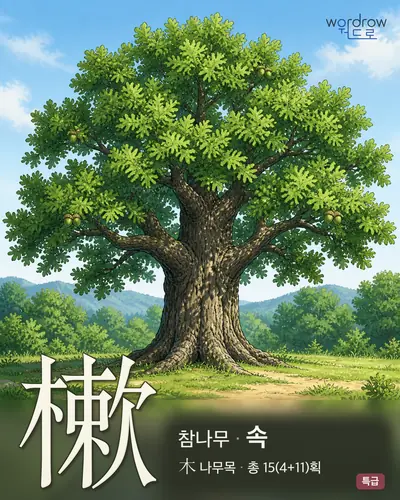 樕 (참나무 속) - 특급 썸네일