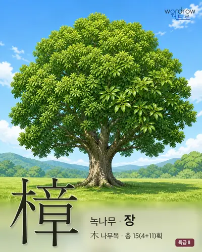 樟 (녹나무 장) - 특급Ⅱ 한자 일러스트 카드
