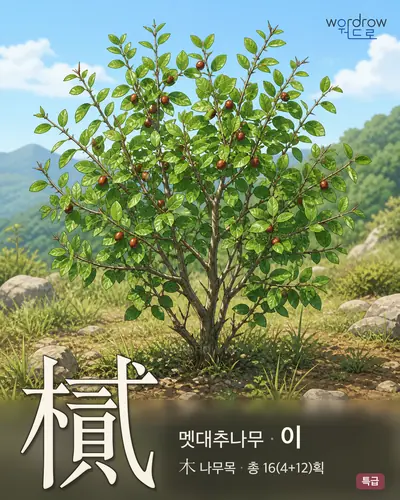 樲 (멧대추나무 이) - 특급 썸네일